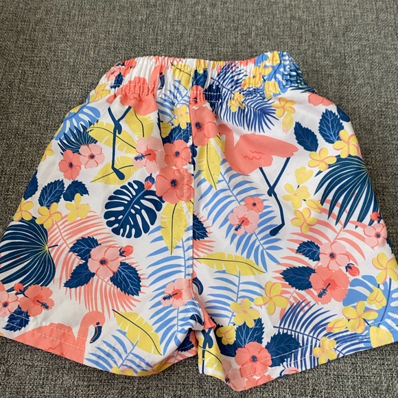 Rugged Butts Tropical Flamingo Boys Swim Trunks 12-18m netted undies EUC - Picture 5 of 5